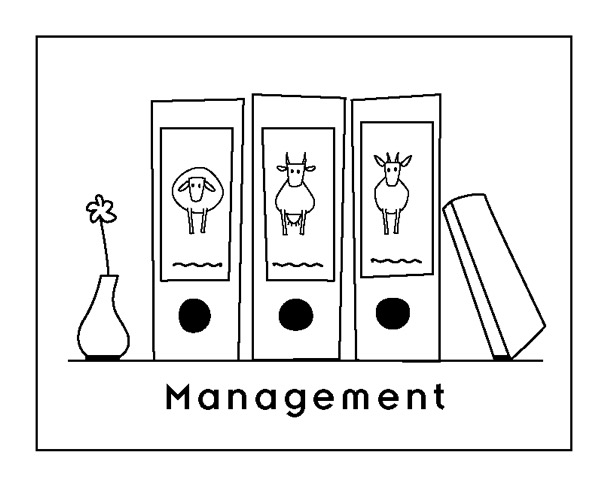 Darstellung Management